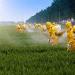 Farmers Spraying Pesticide