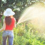 Roundup in the Garden